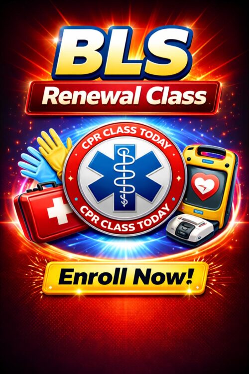 BLS PROVIDER RENEWAL CLASS